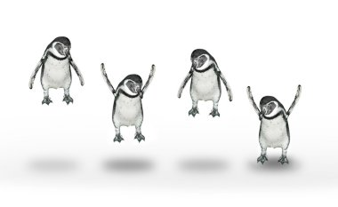 Happy penguins jumping clipart