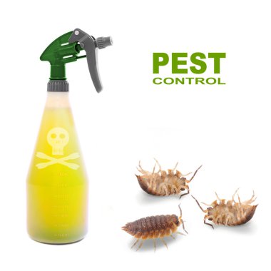 Böcek ilacı ve Pill bugs ile plastik püskürtme