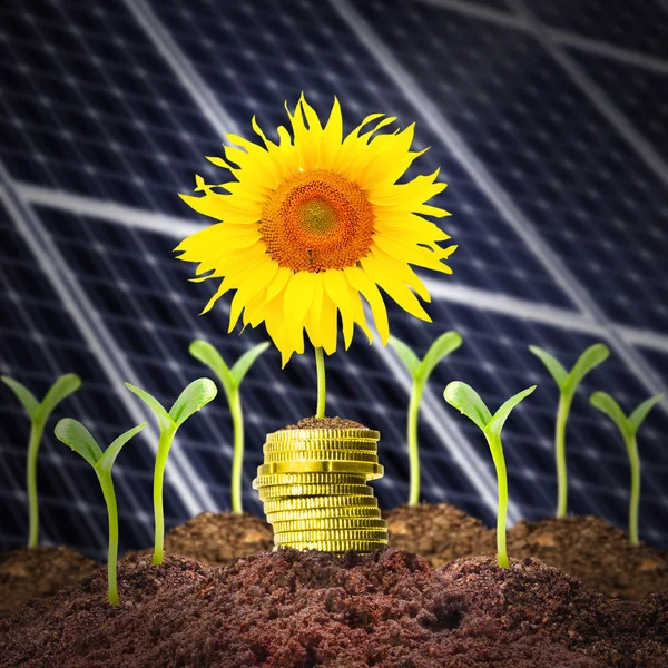 Investments in renewable resources. — Stock Photo, Image