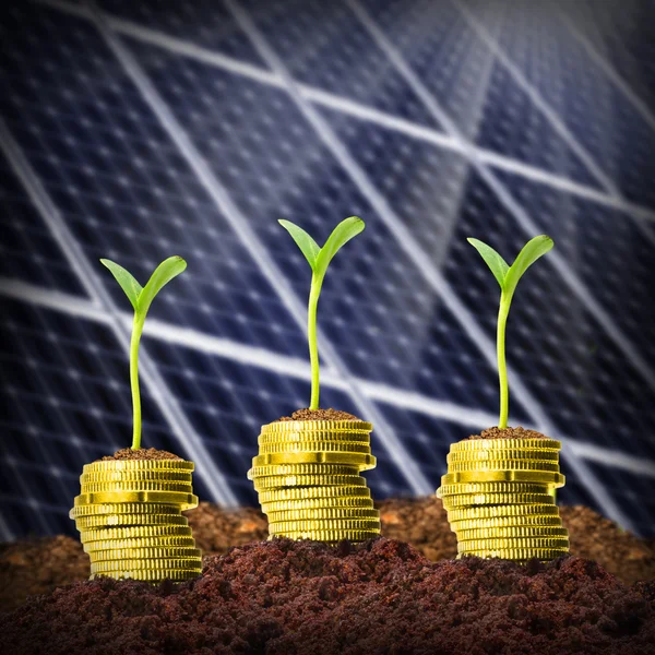 Investments in renewable resources. — Stock Photo, Image