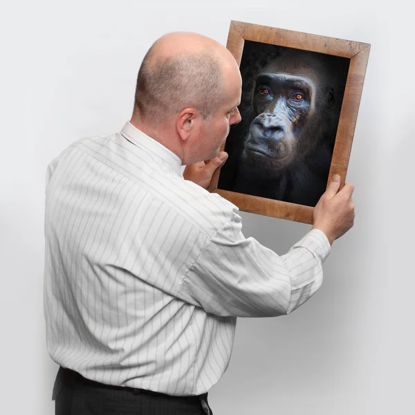 Homem e espelho com seu rosto de macaco — Fotografia de Stock
