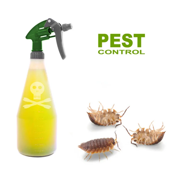 Plastic sprayer with insecticide and The Pill-bugs — Stock Photo, Image