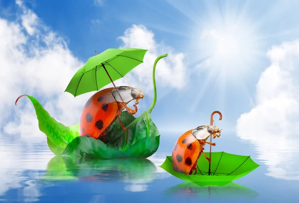 Little ladybugs with umbrella floating on spring flood. — Stock Photo, Image