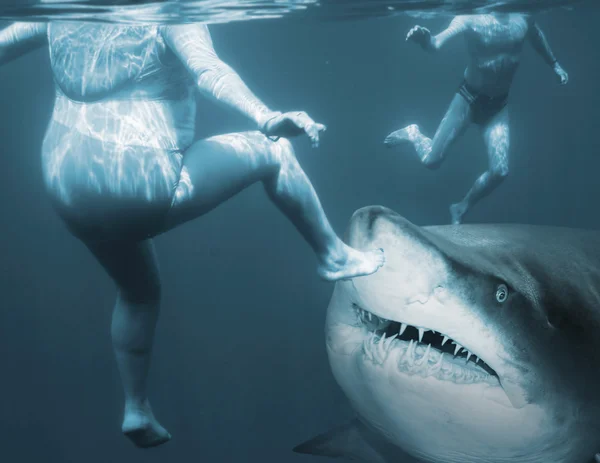 Концепция атаки акул — стоковое фото