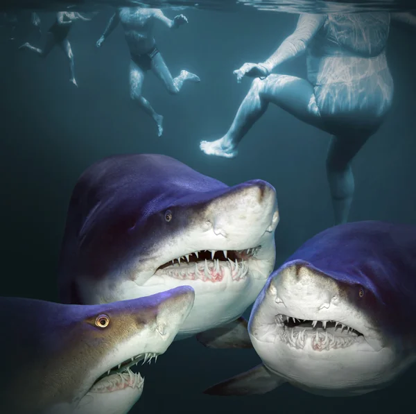 Three sharks have a fun — Stock Photo, Image