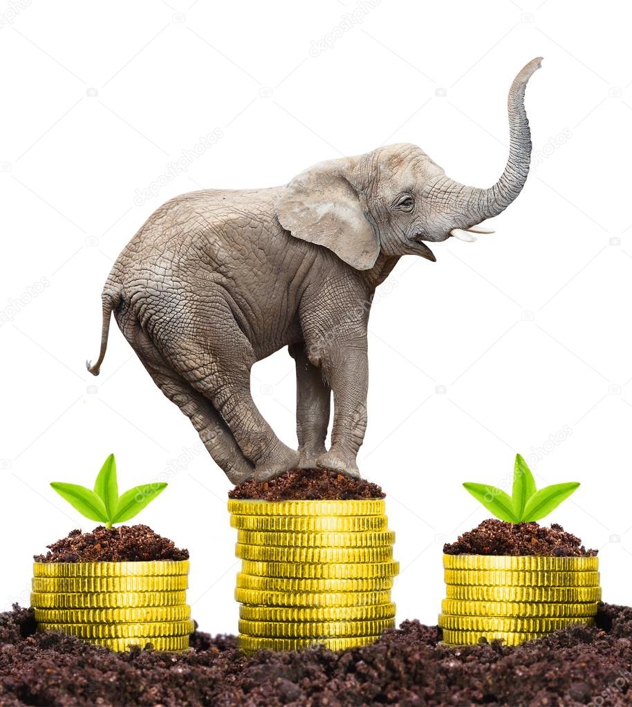 Big Elephant on a growing pile of a golden money