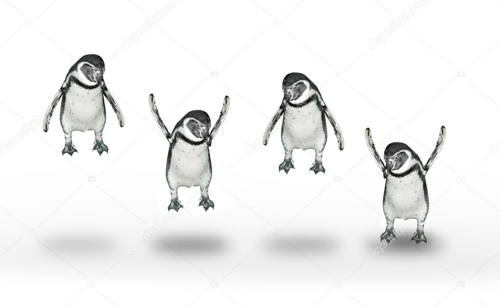 Happy penguins jumping