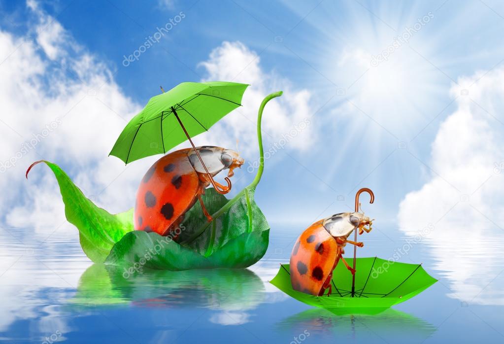 Little ladybugs with umbrella floating on spring flood. — Stock Photo