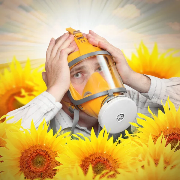 Uomo infelice in maschera di protezione in un campo di girasole — Foto Stock