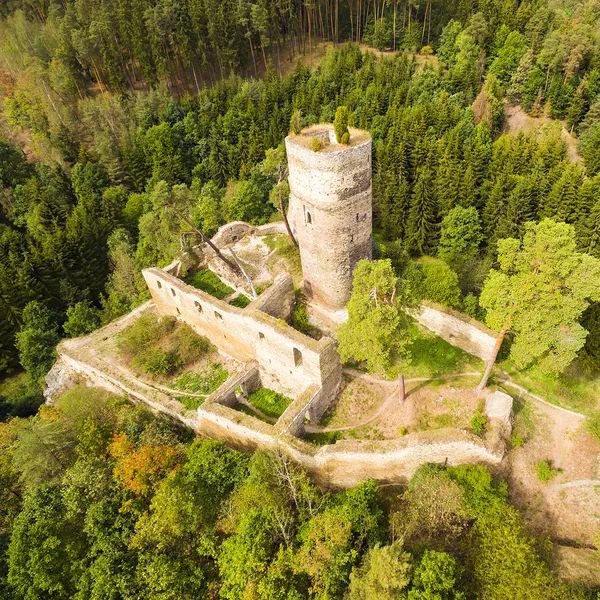 中世の城 Gutstejn の空撮 — ストック写真