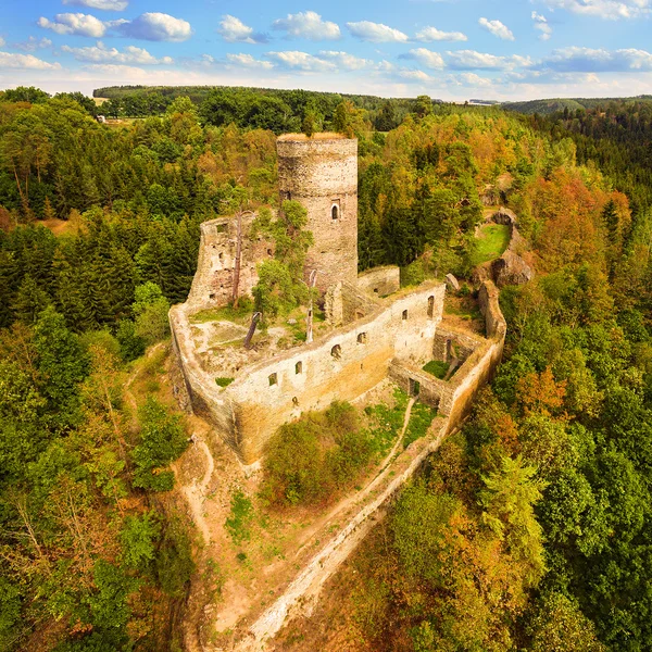 中世の城 Gutstejn の空撮 — ストック写真