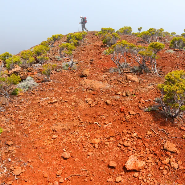 Καρφί de la Fournaise (η κορυφή του φούρνου) — Φωτογραφία Αρχείου