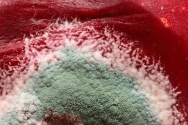 Küflü şeftali closeup 