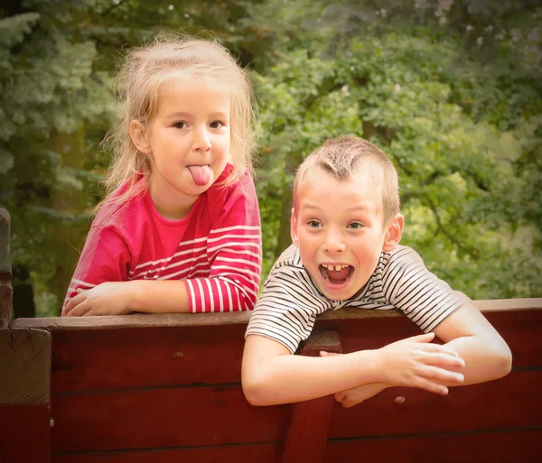 Enfants drôles profitant de vacances à la campagne — Photo