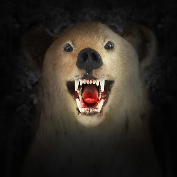 Angry beast with bloody mouth. — Stock Photo, Image