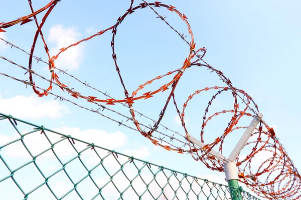 Fence with a barbed wire. — Stock Photo, Image