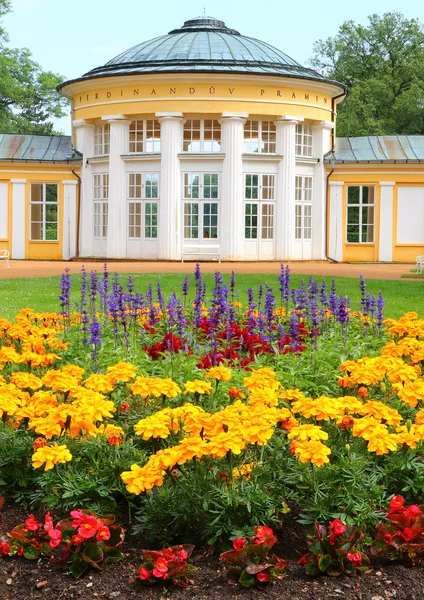 Spa Marianske Lazne — Foto de Stock