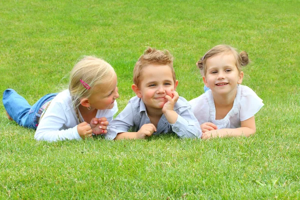 3 つの小さなお友達が牧草地で楽しい時を過す — ストック写真