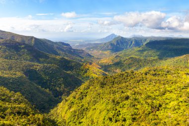 Black River Gorges Milli Parkı Mauritius Adası.