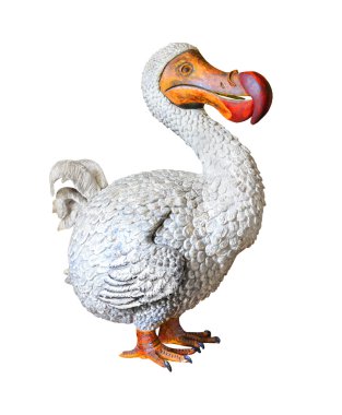 The Dodo (Raphus cucullatus) . clipart