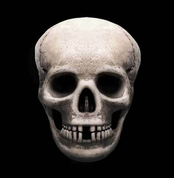 Crânio humano no fundo preto. — Fotografia de Stock