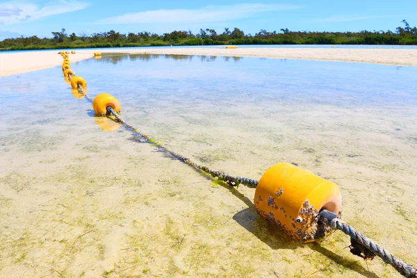 Fiskenett med flottør på blått hav – stockfoto