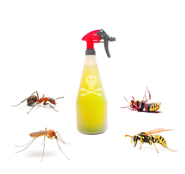 Plastic sprayer with insecticide and stinging insects — Stock Photo, Image