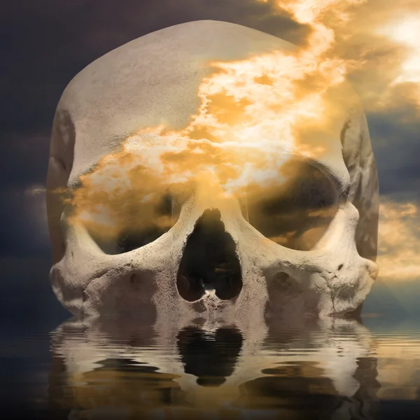 Crâne brûlant dans la mer . — Photo