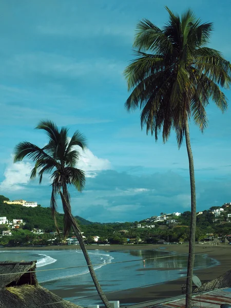 Widok na plaży San Juan del Sur Bay z drzew Nikaragui Pacif — Zdjęcie stockowe