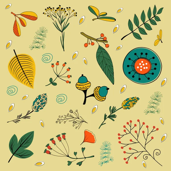 Follaje de otoño con ramitas, flores y hojas . — Vector de stock