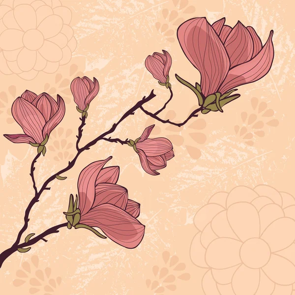 Magnolienblumenkarte mit Platz für Ihren Text — Stockvektor