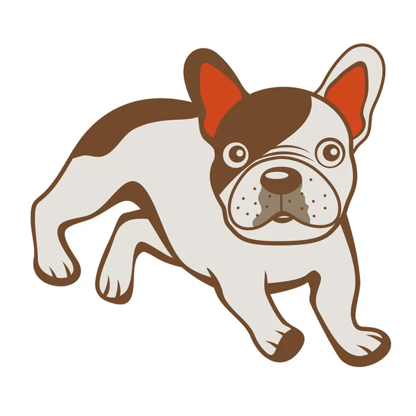 Bulldog francese — Vettoriale Stock