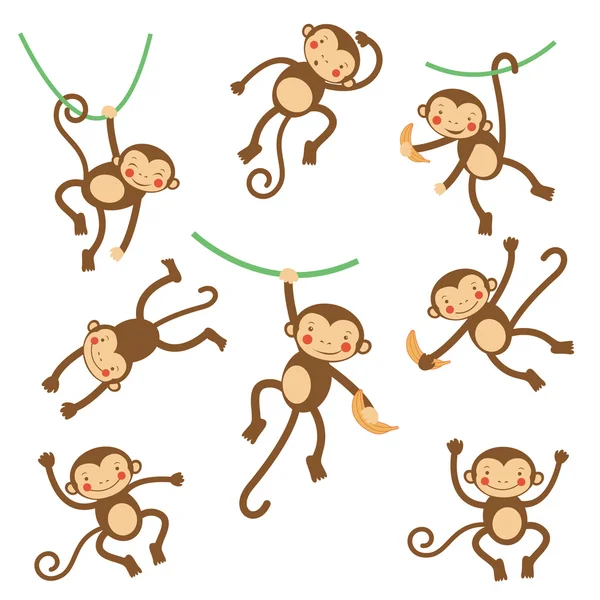 Singes drôles mignons — Image vectorielle