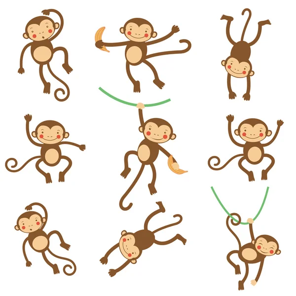Cute małpy zabawne — Wektor stockowy