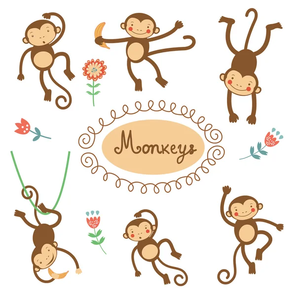 Baby Monkey Vector Art Stock Images Depositphotos