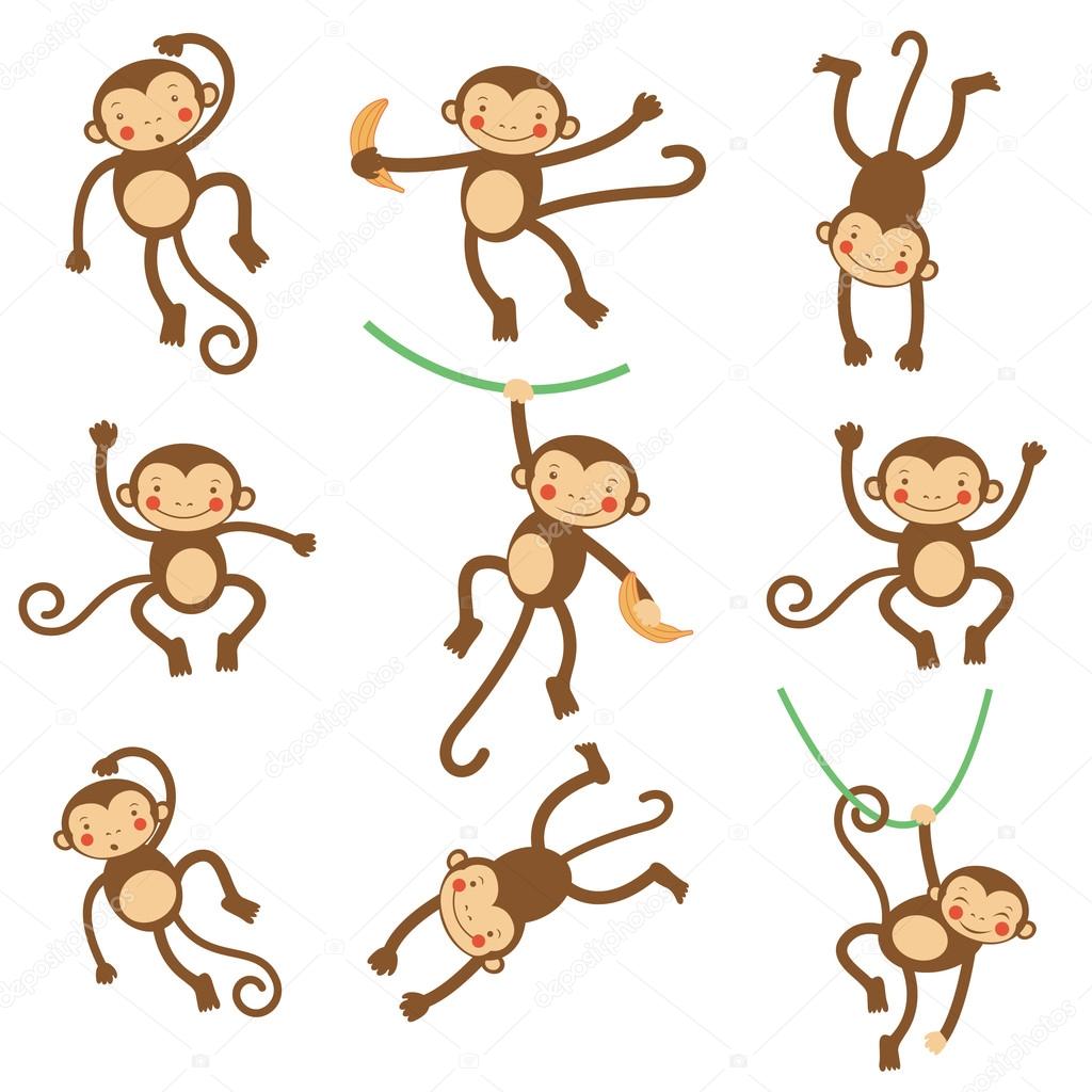 Cute funny monkeys