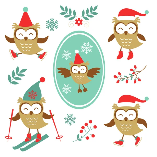 Cute winter owls colorful collection — Stock Vector