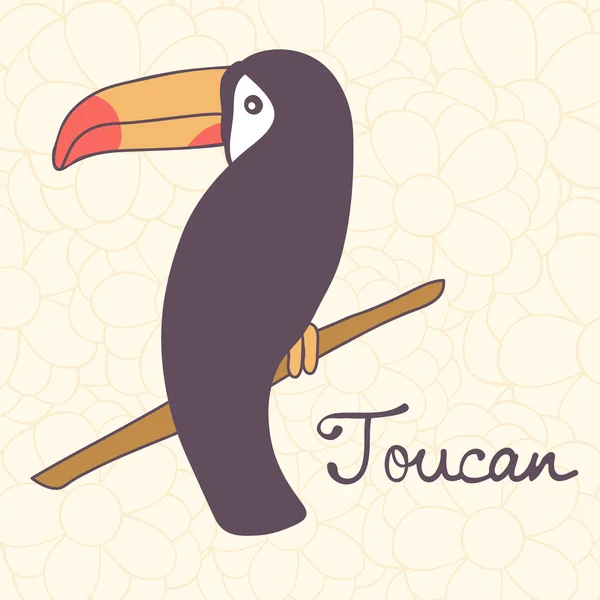 Toucan — Stock Vector