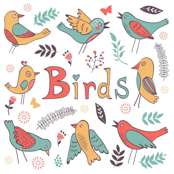 可爱的手绘颜色鲜艳的鸟集合 — 图库矢量图片