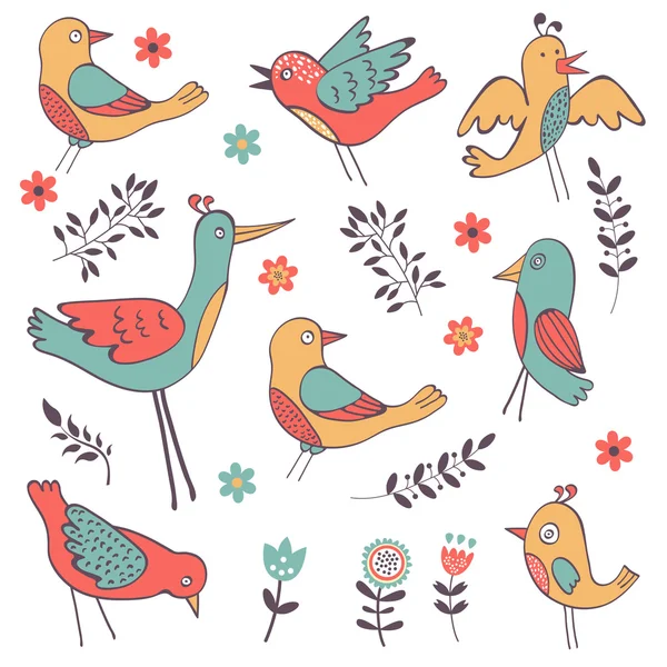 Colección de aves coloridas dibujadas a mano lindo — Vector de stock