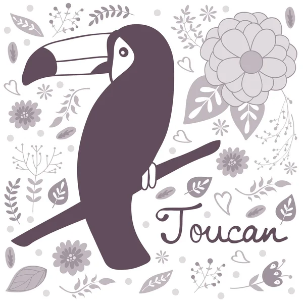 Toucan — Image vectorielle