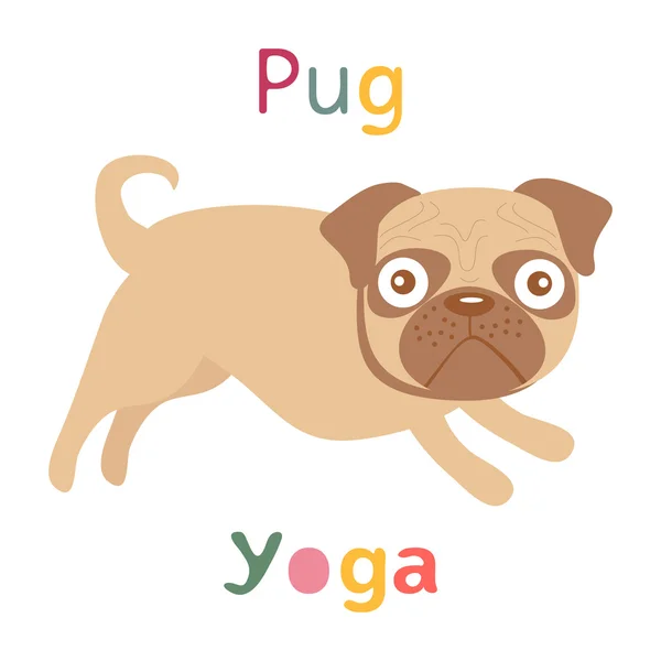 An illustration of pug doing yoga — Stock Vector