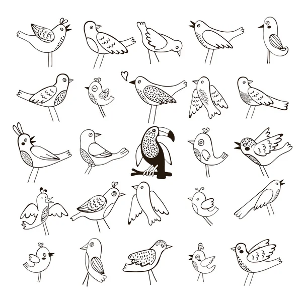 Şirin komik kuşlar topluluğu — Stok Vektör