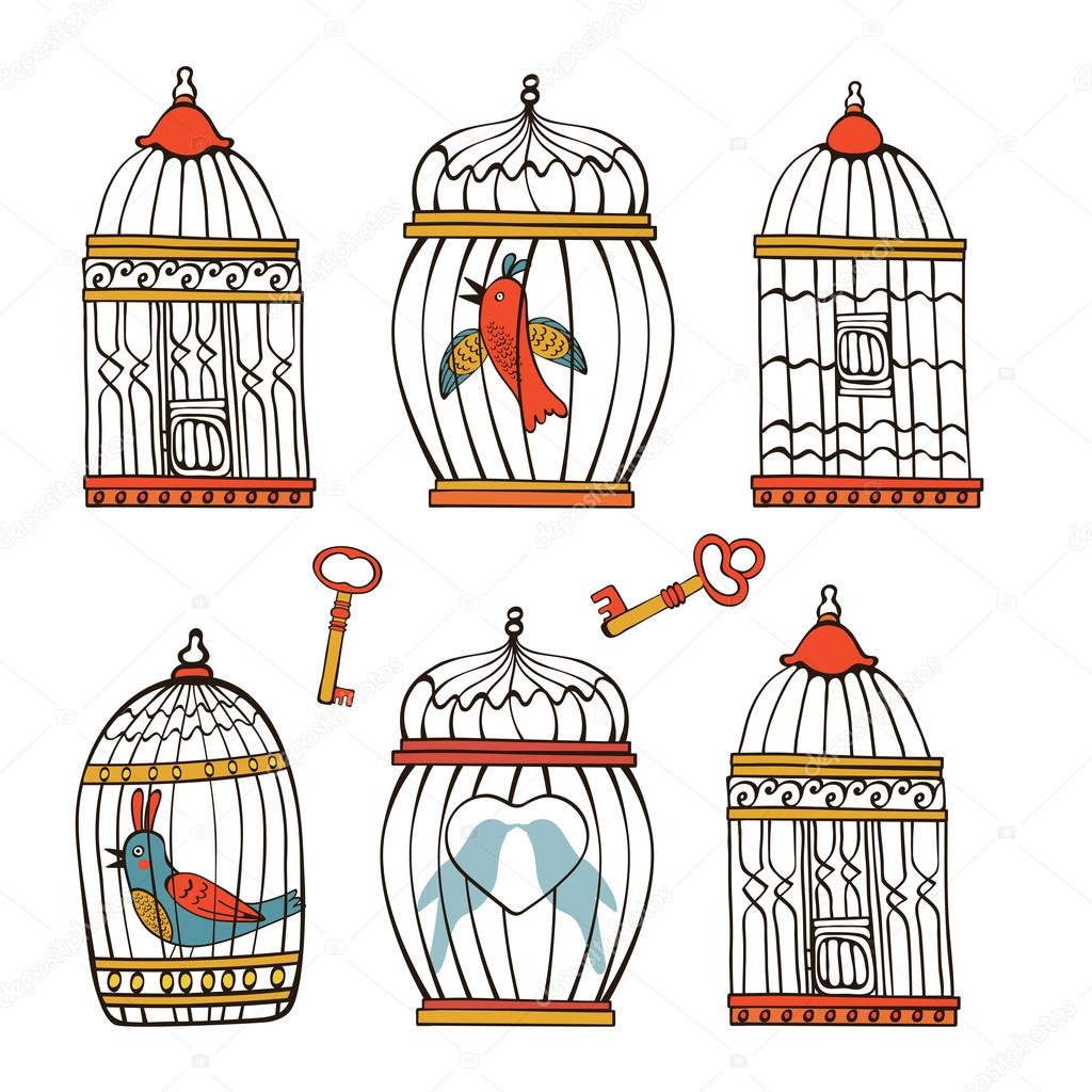 Beautiful collection of bird cages and little birds