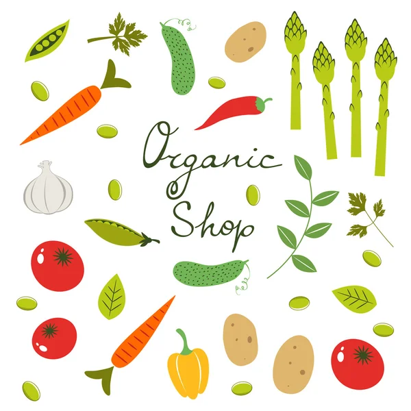 Collection de légumes biologiques colorés — Image vectorielle