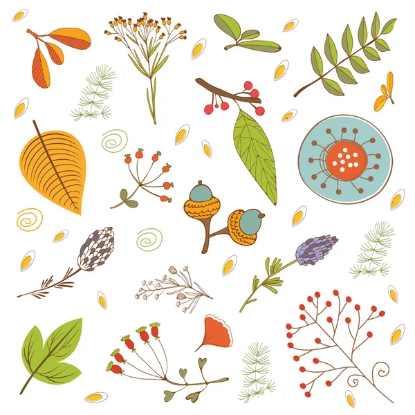 秋季的树叶，用树枝、 花和树叶设置 — 图库矢量图片