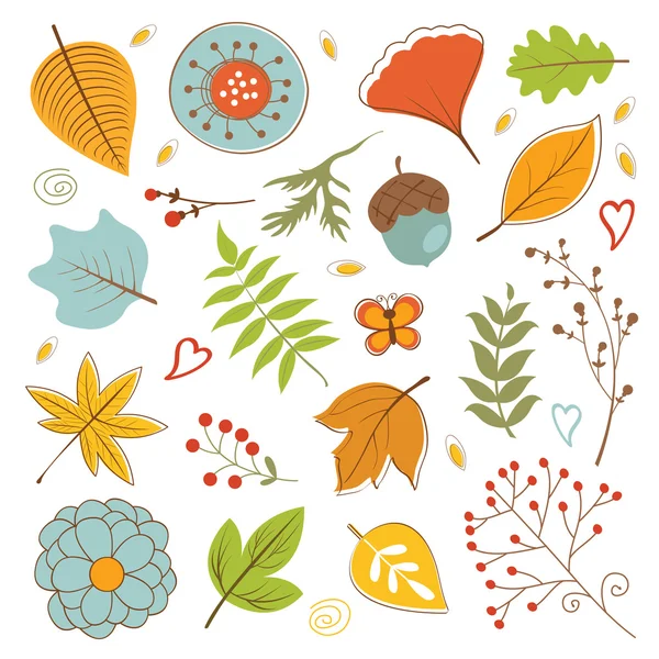 Autumn foliage set with twigs, flowers and leaves — Stock Vector