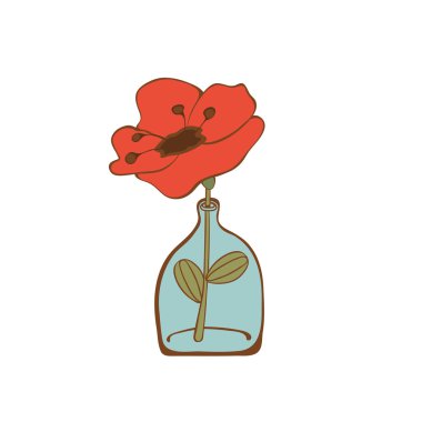 Cam şişe içinde güzel haşhaş çiçek