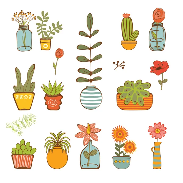 Schöne Reihe von handgezeichneten Zimmerpflanzen — Stockvektor