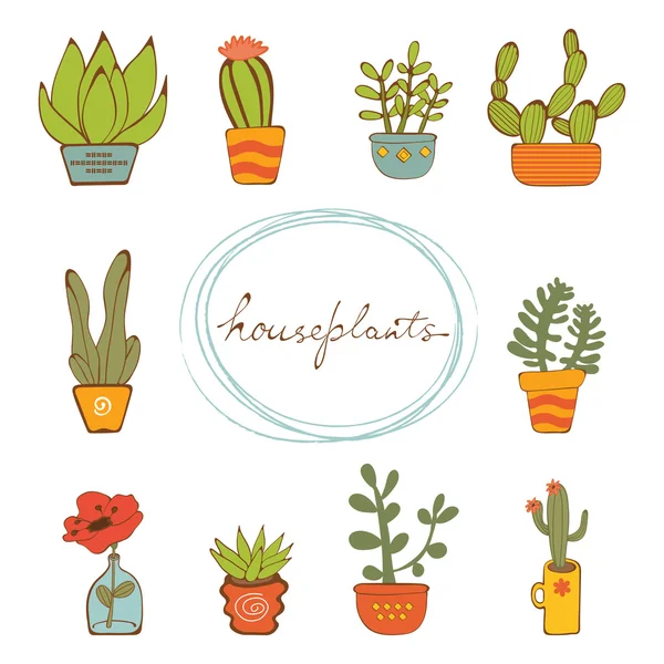 Beautiful set of hand drawn houseplants — Stock Vector